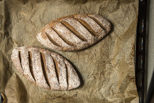 Majs- och bovetelimpa